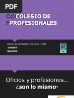 Colegio Profesional 2023 128708310601