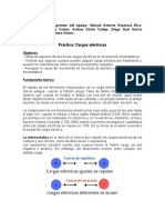 Práctica. Cargas Eléctricas