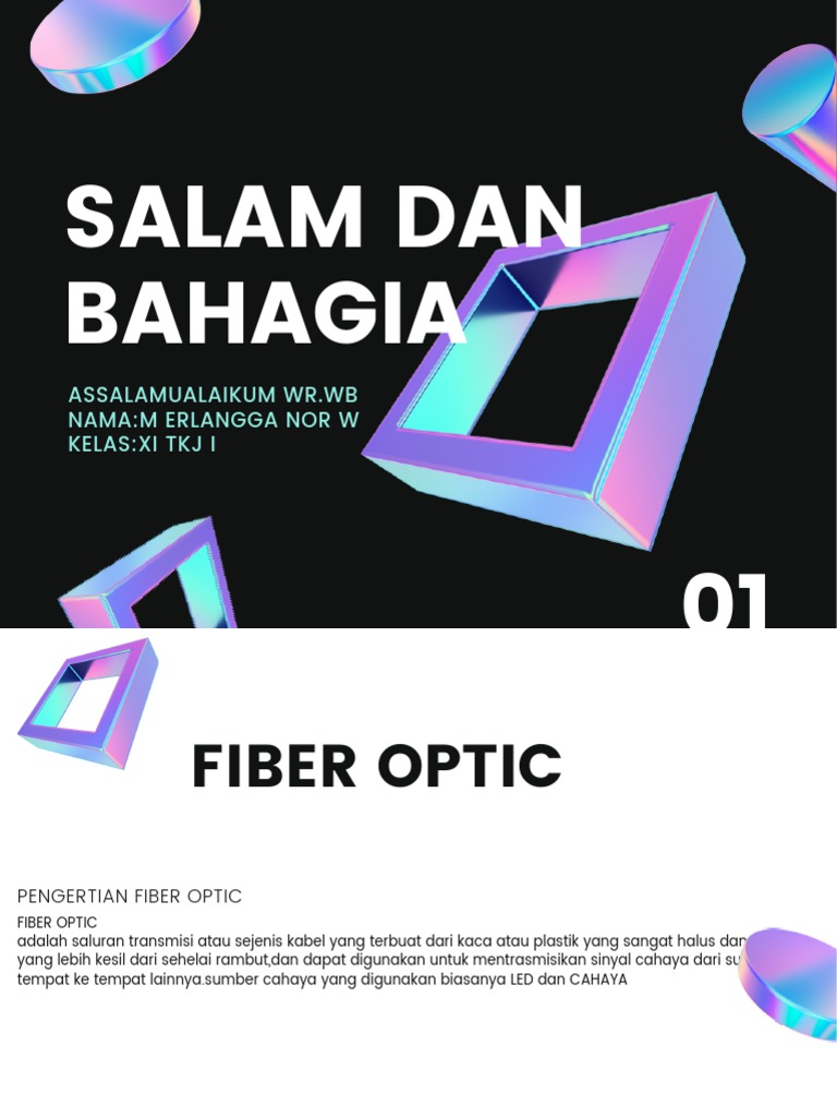 Fiber Optic | PDF