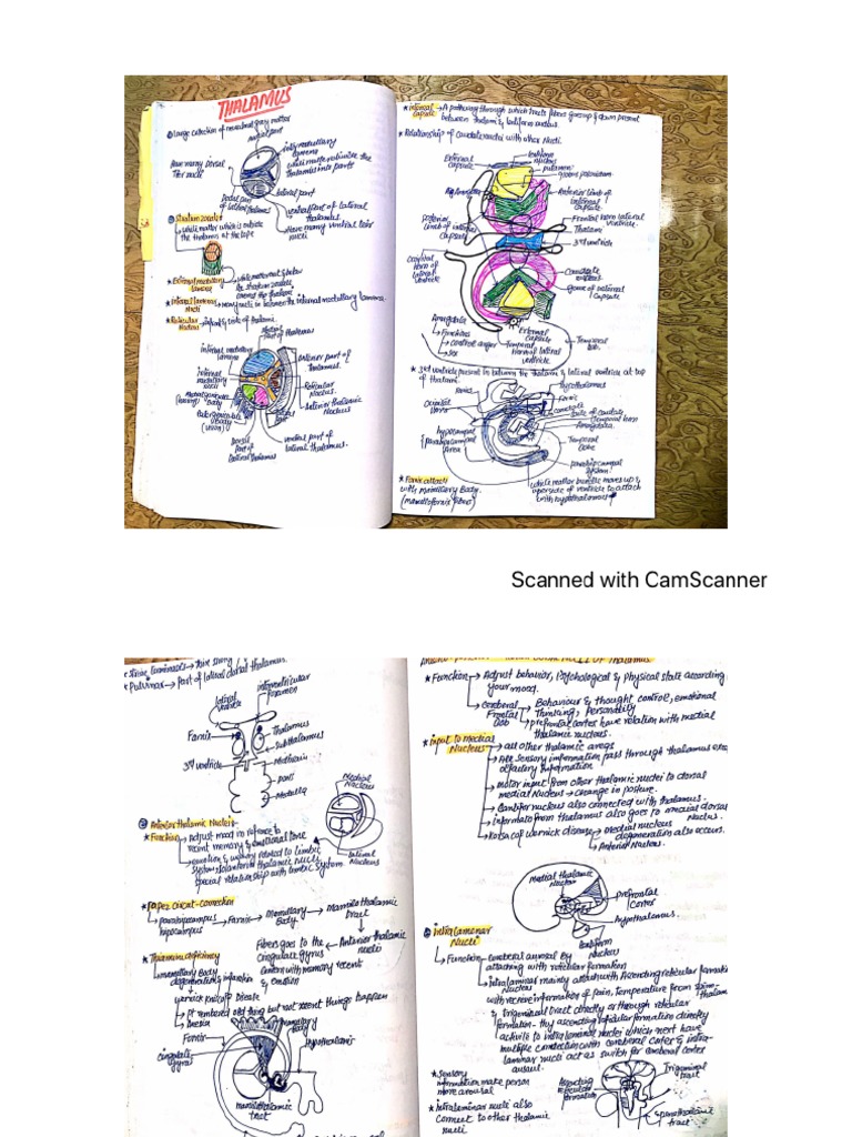 CNS DR Najeeb Notes Part 2 | PDF