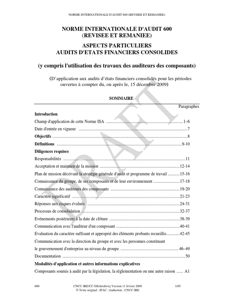 Norme ISA 600 : Audits Consolidés | PDF | Audit | Traductions
