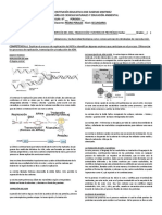 Guia Adn Replicación, Transcripción y Traducción