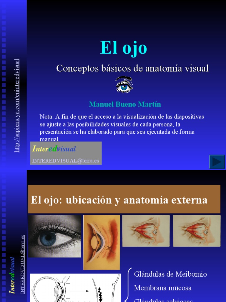 El Ojo Pdf Ojo Humano Percepción Visual