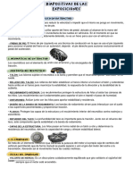 Diapositivas Maquinarias Exposisiones Resumen
