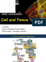 Cell and Tissue