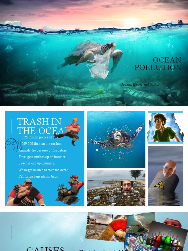 Ocean Pollution: Causes and Effects | PDF