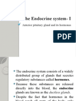 Endocrine System I