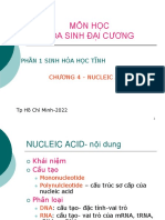 Nucleic Acid