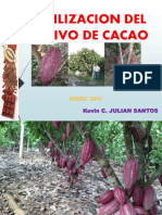 357893404 Fertilizacion en El Cultivo de Cacao