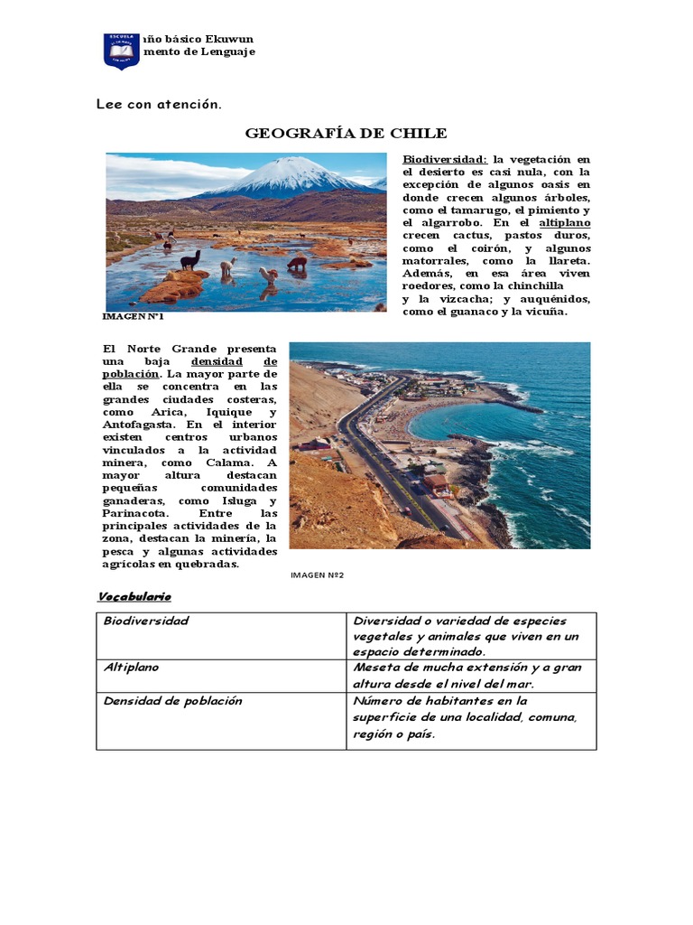Geografía y biodiversidad del Norte Grande | PDF | Chile