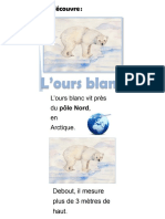 L - Ours Blanc