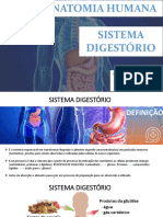 P2A7 Anatomia SISTEMA DIGESTÓRIO