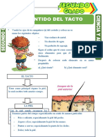 El Sentido Del Tacto para Segundo Grado de Primaria