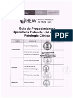 2.guia de Procedimientos Operativos Estándar - Poe Del Área de Patología Clínica PDF