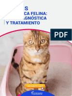Cistitis Ideopatica Felina-Rrss