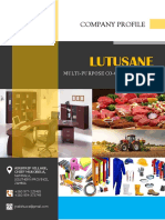 Company Profile Lutusane