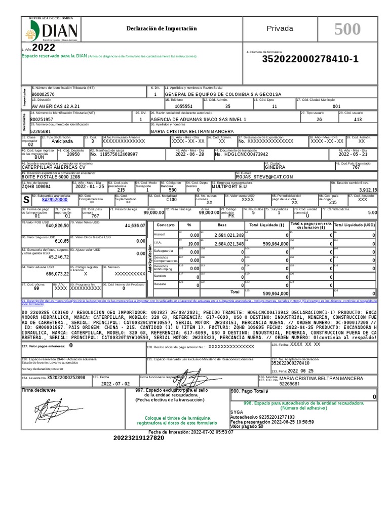 Declaracion De Importacion Pdf Pagos Política Comercial