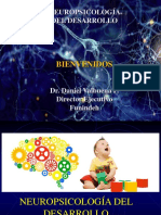 Neuropsicologia Del Desarrollo