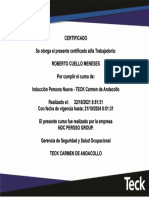 Inducción Persona Nueva - TECK Carmen de Andacollo ROBERTO CUELLO MENESES 22102021 - 0851