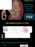 DESARROLLO PRENATAL CARA, PALADAR Y NARIZ - Aula Virtual