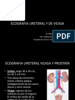 Ecografia Ureteral, Vejiga Wil 2023 Unifranz Clase 12-05-2023