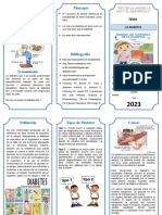 Triptico Diabetes