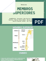 Membros Superiores