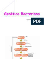 Clase 7 - Genética microbiana