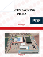 Estatus Packing - Piura