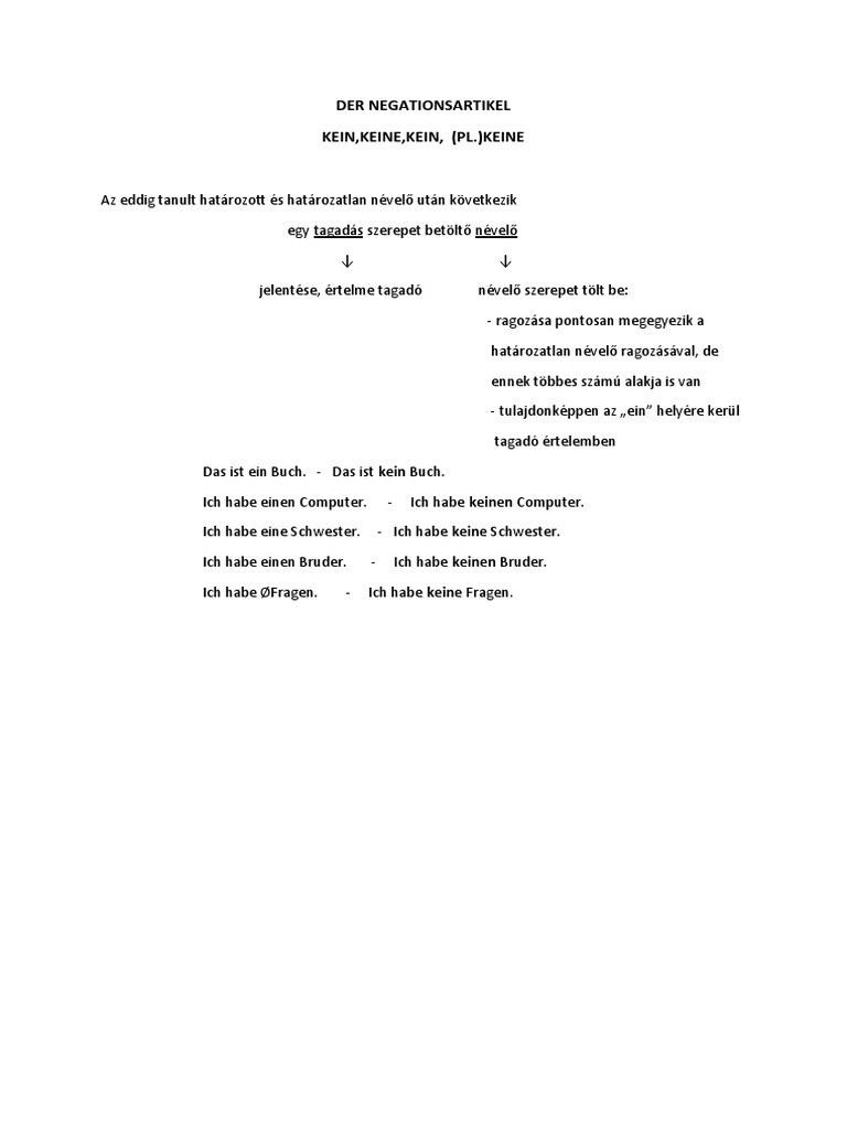 Der Negationsartikel PDF