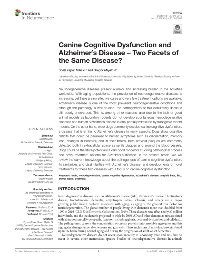 Canine Cognitive Dysfunction and Alzheimers Disea | PDF | Amyloid Beta ...
