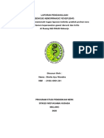 Dengue Hemorrhagic Fever (DHF)