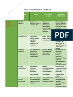 Priorizacion Peligros y Riesgos222