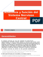 SNC Anatomía y Función