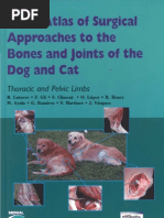 Download Color Atlas of Surgical Approaches to the Bones and Joints of the Dog and cat by Scott Rose SN66092629 doc pdf