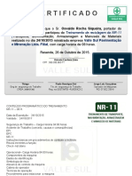 Certificado NR 11