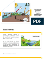 El Ecosistema y Su Dinámica. Elementos, Relación Interespecíficas y Intraespecíficas.
