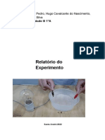 Relatório Do Experimento Quimicasdadsdadsa