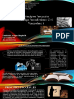 Exposicion Principios Procesales 