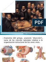 Anatomia Planos y Posicion