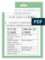 Acto y Condicion Sub Estandar PDF