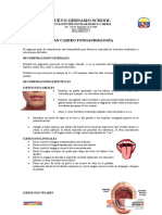 Plan Casero de Fonoaudiologia ARTICULACIÒN