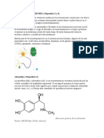 Eje Iv Neuroanatomia