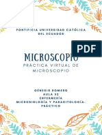 Microscopio