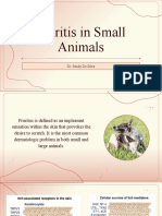 Pruiruitis in Small Animals