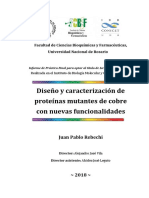 Informe de Práctica Final - Juan Pablo Rebechi (Digital)