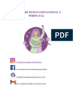 Guia Sobre Duelo Gestacional y Perinatal