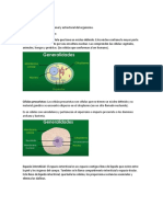 Fisiologia Celulas