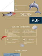 Delfin