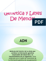 Leyes Mendel